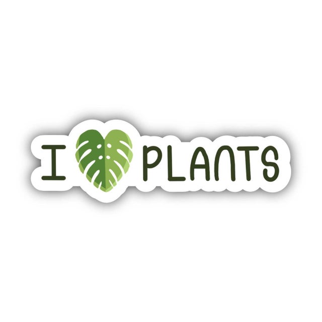 Bloom Where You Are Planted Floral Sticker